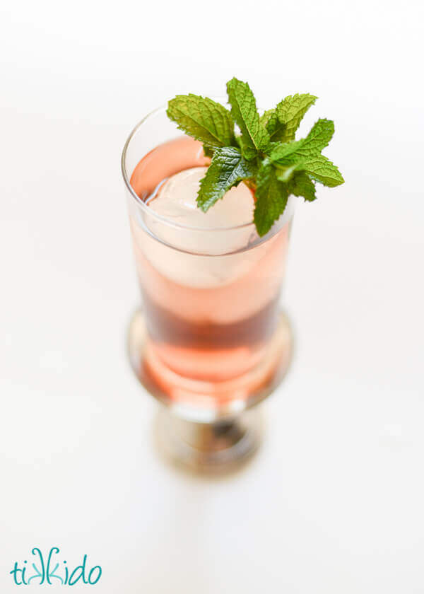 How to Make Vinegar and Fruit Shrub (Drinking Vinegar)